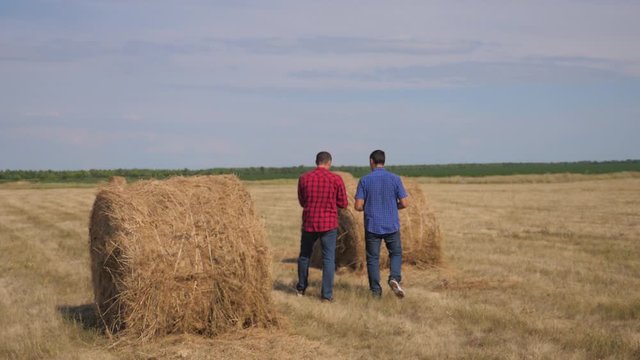 teamwork agriculture smart farming concept. two men farmers lifestyle workers walking studying haystack in field on digital tablet. teamwork slow motion video. people agronomist botanist farmers