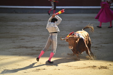 toreo en españa