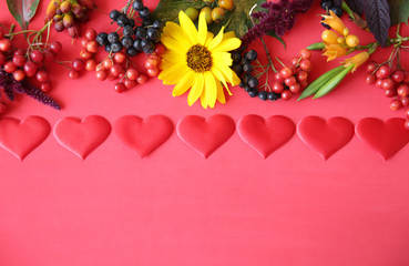 Autumn composition with red heart. Maple leaves, flowers and rowan, berries on red background. Autumn, fall, halloween, thanksgiving day concept. Flat lay, top view, copy space. Still life.