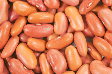   Close up view of kidney beans