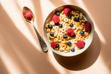 Tasty cornflakes with raspberries and blueberries on pastel background.Cornflakes with fresh fruits and yogurt served in a ceramic bowl. Concept for healthy nutrition. Tasty and healthy meal
