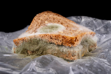 Moldy sandwich with smoked meat in a plastic bag. Dark bread with grains covered with white mold.