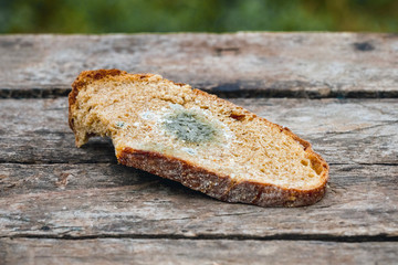 Mildew on a slice of bread, lying on a wooden surface. Stale bread, covered with mildew_
