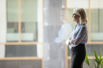 Confident mature businesswoman pondering strategy, standing near window