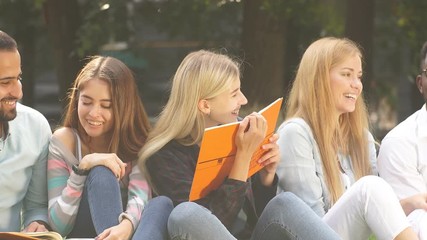 Mixed-race group of students sitting together on green lawn of university campus.
