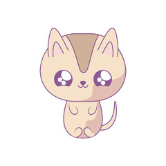 cute cat baby animal kawaii style