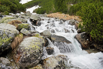 Small creek in mountains flowing over large rocks, low coniferous trees and remains of snow in background
