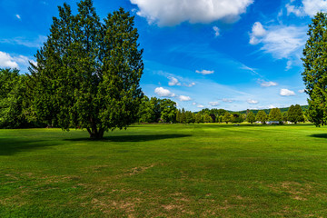 Plakat Landscape with Trees, blue skies and clouds