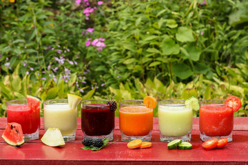 Various types of vegetable and fruit smoothies made of watermelon, cucumber, tomato, melon, carrot and blackberry, horizontal orientation