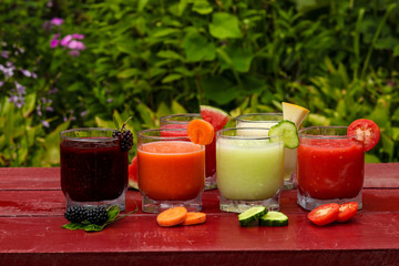 Various types of vegetable and fruit smoothies made of watermelon, cucumber, tomato, melon, carrot and blackberry, horizontal orientation
