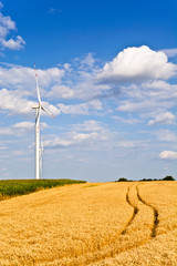 Field of wheat with windmills and blue sky