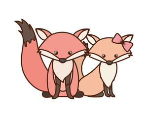 cute couple of foxes on white background