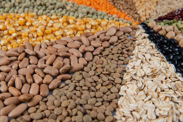Big collection of different cereals and edible seeds.