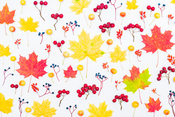 Flat lay pattern with colorful autumn leaves and berries on a white background