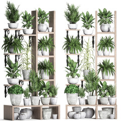 decorative shelf with flower pots, vertical garden	