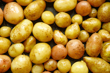 Roasted potatoes in the skin