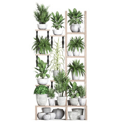 decorative shelf with flower pots, vertical garden	