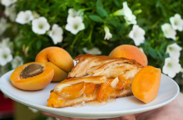 Summer apricot pie on plate, close up