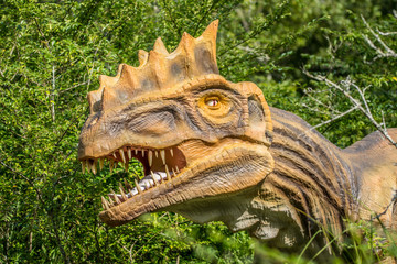 Tyrannosaurus dinosaur in the woods