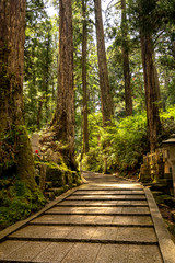 Des escaliers dans une forêt sacrée au Japon