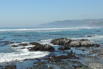 Obraz premium Variado de paisajes