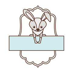cute and adorable bunny with frame