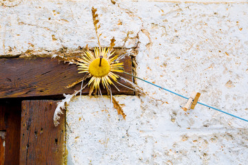 Famous plant and Basque symbol to place in the entrances of the houses