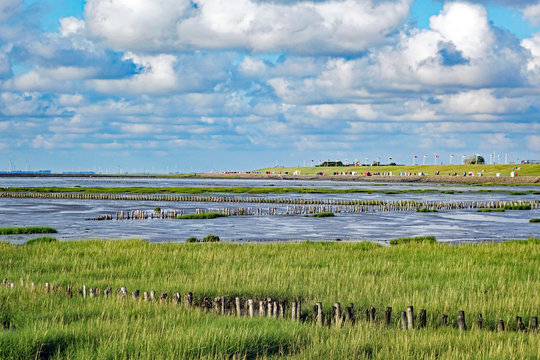 Friedrichskoog Blick auf den gr&uuml;nen Strand