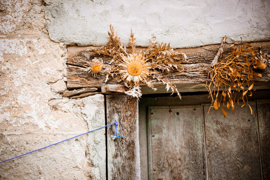 Famous plant and Basque symbol to place in the entrances of the houses