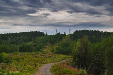Fototapeta na wymiar Dirt road in the forest summer landscape.