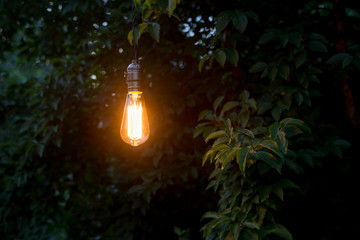 Loneliness concept lonely retro bulb glow in the evening garden