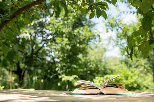Open book on a wooden table in a garden. Sunny summer day, reading in a vacation concept