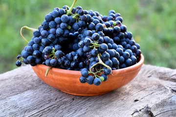 Black grapes in a ceramic plate on an old board in the garden.