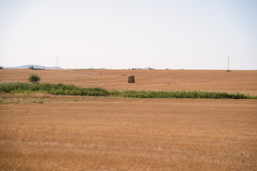 Harvested straw land with a pile in the middle
