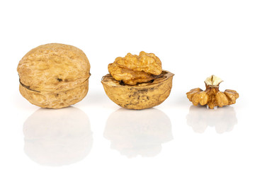 Group of two whole one half of ripe brown walnut in row isolated on white background