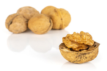 Lot of whole ripe brown walnut isolated on white background