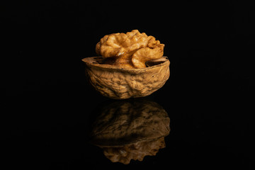 One whole ripe brown walnut isolated on black glass