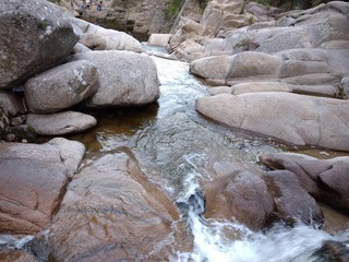 Primeros planos y paisajes naturales