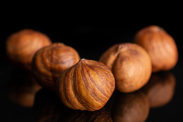 Group of five whole ripe brown hazelnut arranged symmetrically in closeup isolated on black glass
