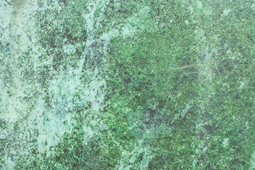Green grunge painted wall surface worn weathered dirty old rough vintage background surface texture