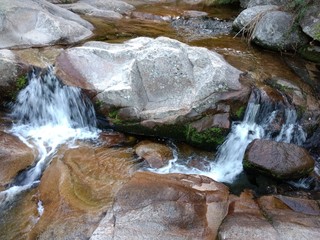 Primeros planos y paisajes naturales