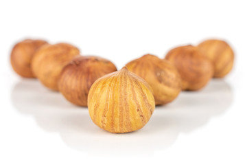 Group of seven whole ripe brown hazelnut arranged symmetrically in closeup isolated on white background
