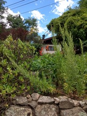 Primeros planos y paisajes naturales