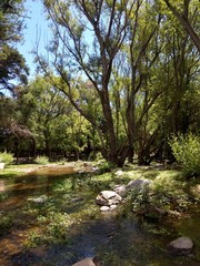 Primeros planos y paisajes naturales