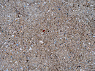 Plastered surface. Stucco with small shells and pebbles. Decorative effect. Texture. Abstraction. Background.