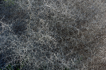 abstract background