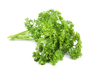 Fresh green organic parsley on white background