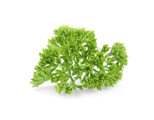 Fresh green organic parsley on white background
