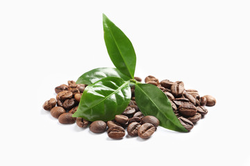 Fresh green leaves and pile of coffee beans isolated on white