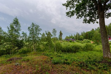 Fototapeta na wymiar Beautiful view of green forest natural landscape on a summer day. Scandinavia. Sweden Europe.